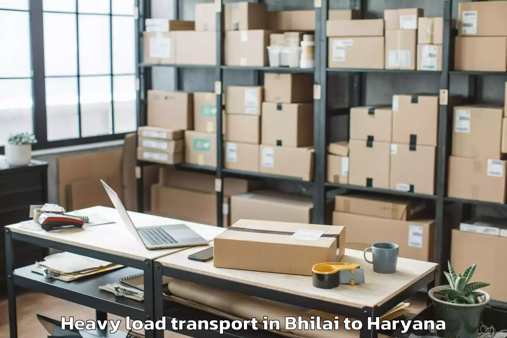 Affordable Bhilai to Mvn University Palwal Heavy Load Transport